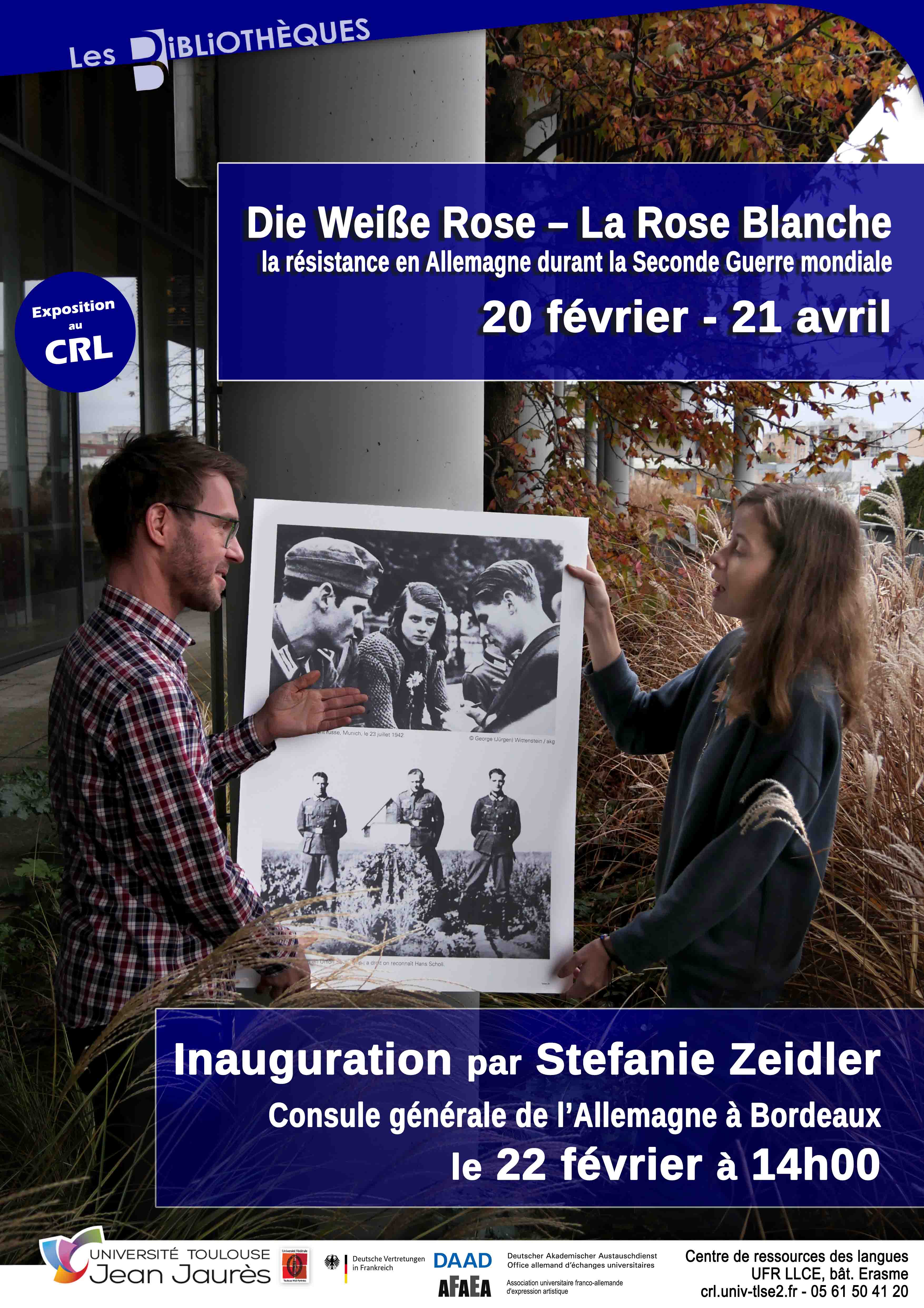 la rose blanche - exposition